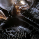 Imagen para el artículo titulado Fotografías macroscópicas tan nítidas que parecen irreales